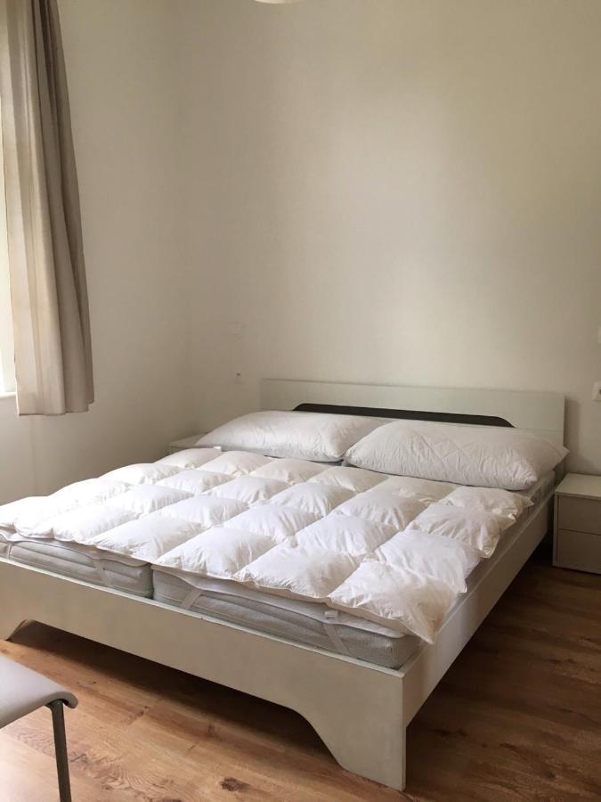 Mva House Teplice, Sanovsky Parkアパートホテル エクステリア 写真