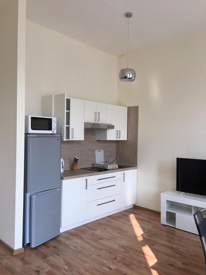 Mva House Teplice, Sanovsky Parkアパートホテル エクステリア 写真