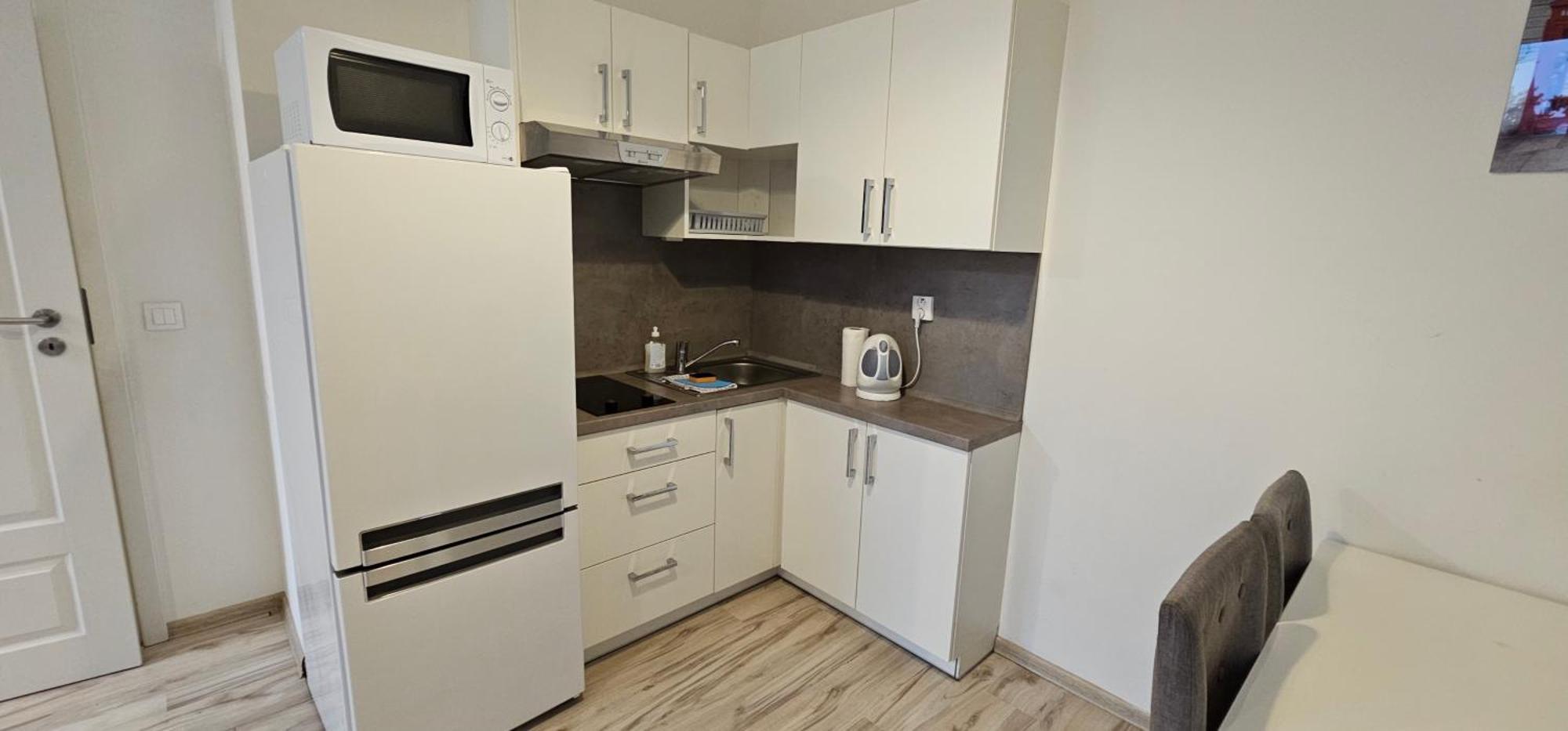 Mva House Teplice, Sanovsky Parkアパートホテル エクステリア 写真