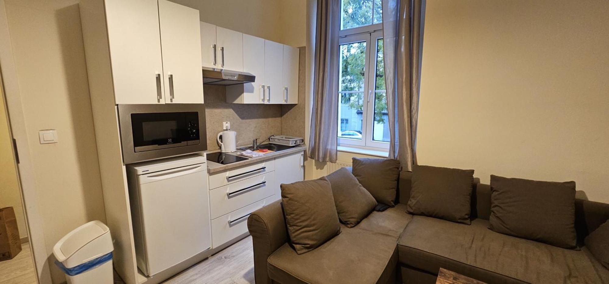 Mva House Teplice, Sanovsky Parkアパートホテル エクステリア 写真